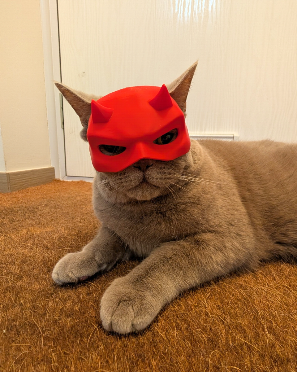 Daredevil cat mask