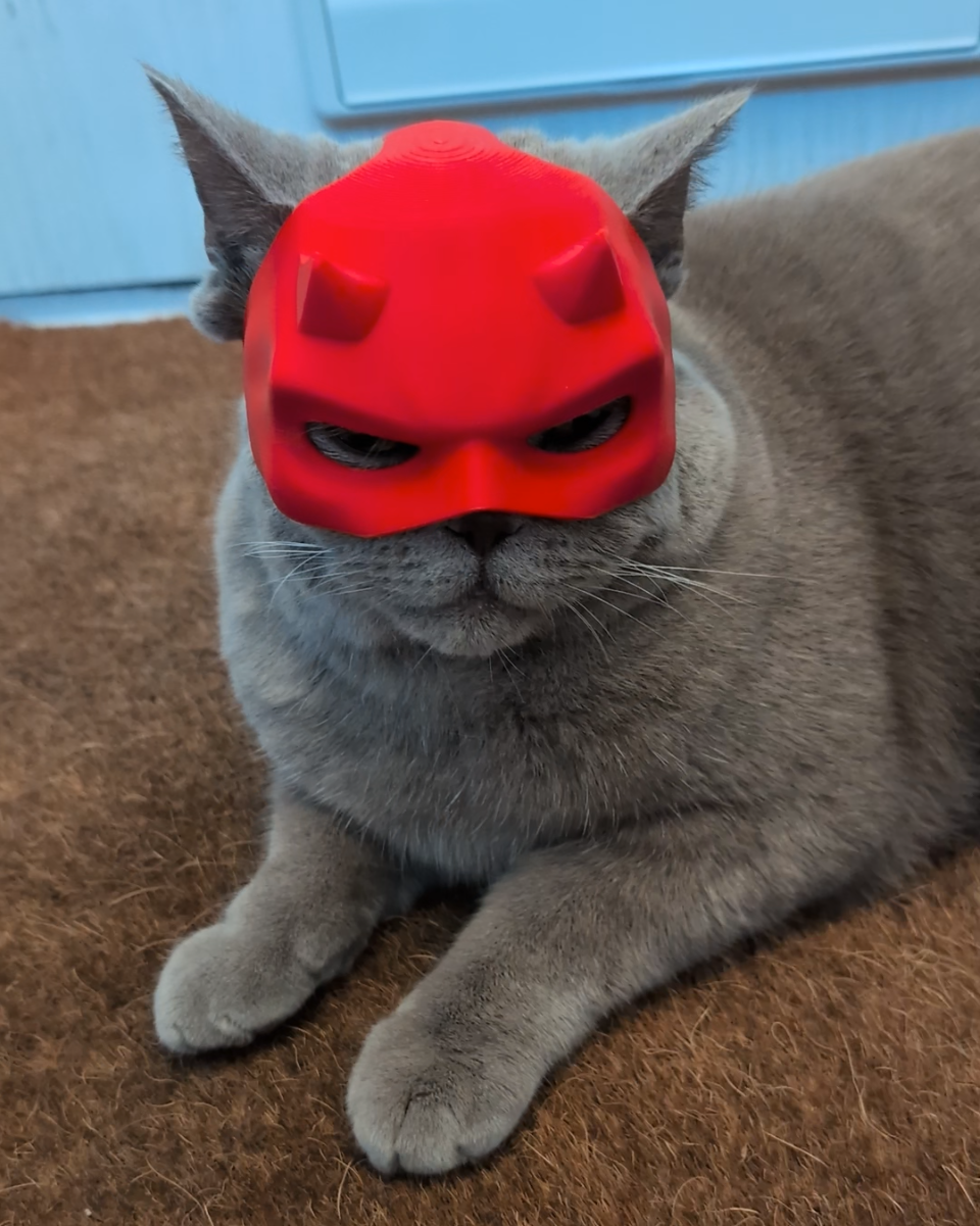 Daredevil cat mask