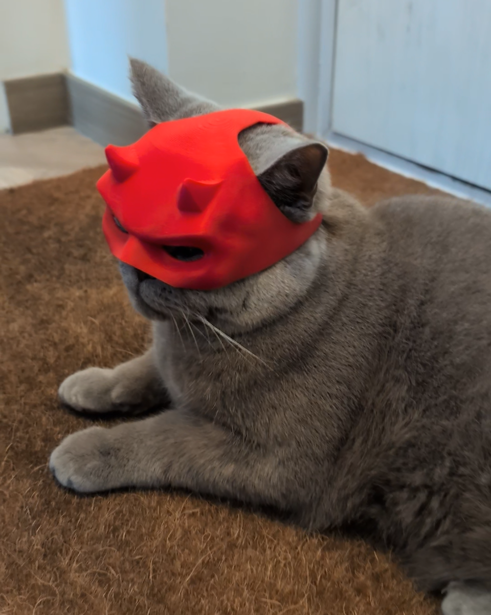 Daredevil cat mask