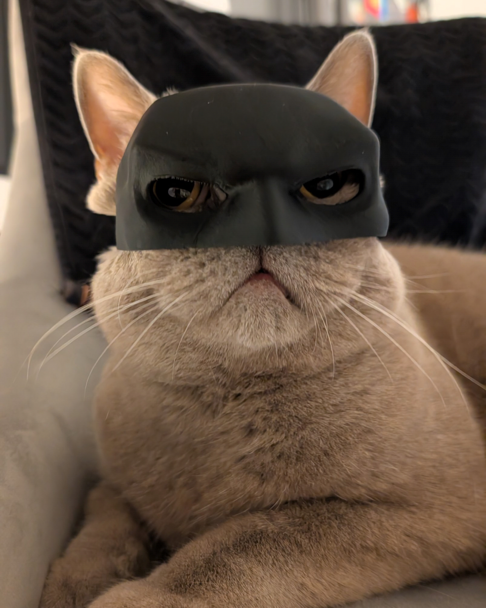 Batcat mask
