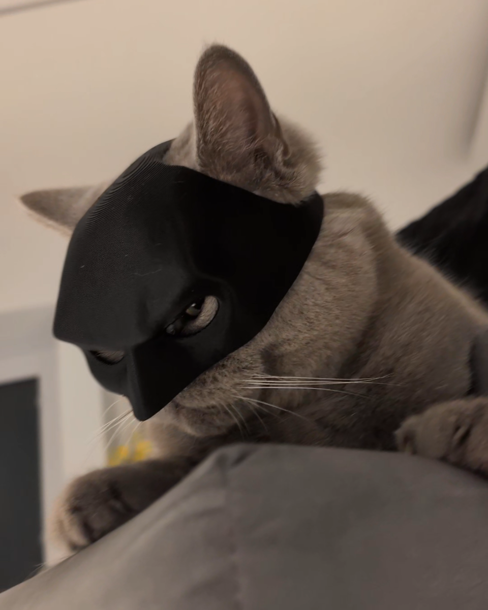 Batcat mask