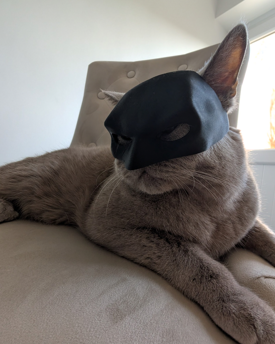 Batcat mask